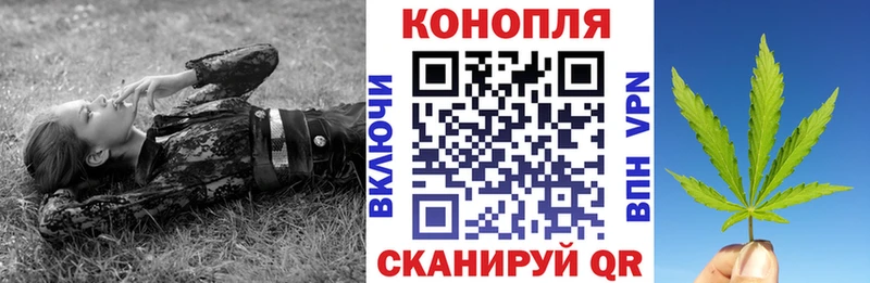 где купить   Онега  Бошки марихуана MAZAR 